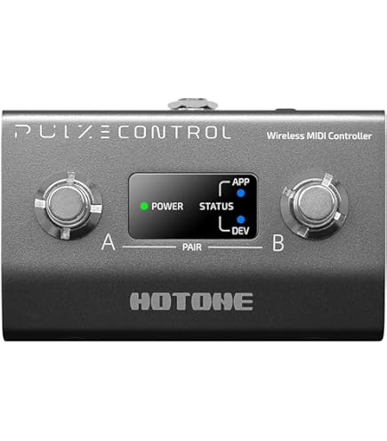 Amazon | HOTONE AMPERO SWITCH モメンタリー フットスイッチ | ライン