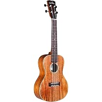 Amazon.co.jp: Cordoba ソリッド アカシア トップ コンサート