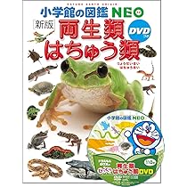 小学館の図鑑NEO イモムシとケムシ DVDつき: チョウ・ガの幼虫図鑑