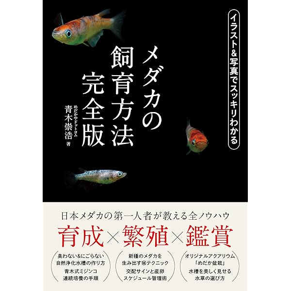 プロ直伝！メダカの飼い方 繁殖＆交配ガイド 大人のフィールド図鑑