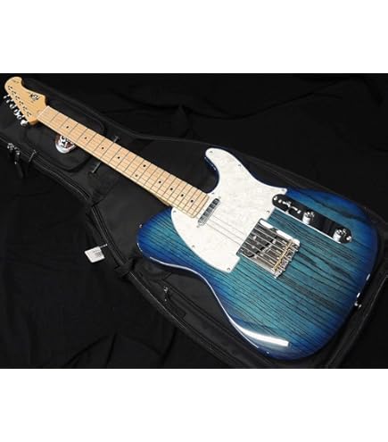 Amazon | FGN FUJIGEN NTE100MAHT SBB フジゲン Neo Classic SERIES
