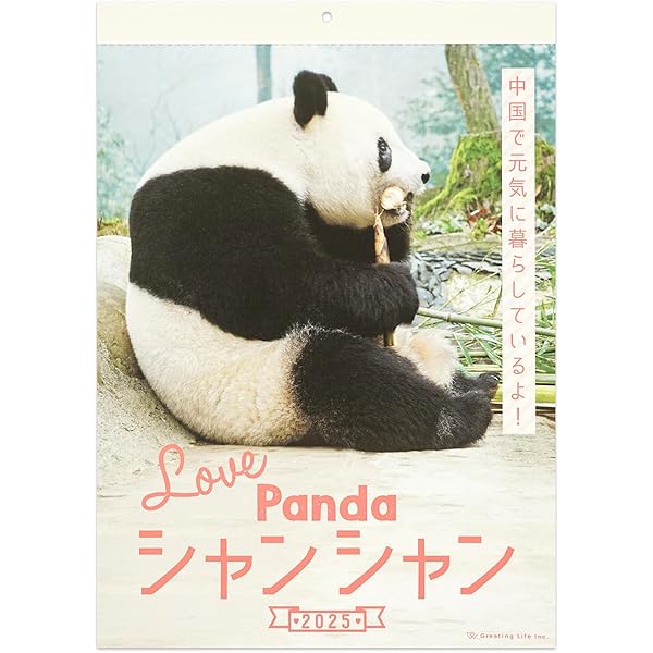 Amazon.co.jp: パンダちゃん: 菅野ぱんだ写真集 : 菅野 ぱんだ  