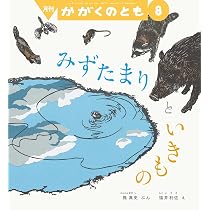 Ibyさま専用　冬休みに♪ かがくのとも　いきもの絵本セット みずたまりと いきもの (かがくのとも2025年8月号) | 槐 真史, 福井