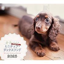 平成レトロ　ヴィンテージ　犬　いぬ　ミニチュア ダックスフント 平成レトロ ヴィンテージ 犬 いぬ ミニチュア ダックスフント
