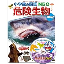 DVD付 きのこ[改訂版] (小学館の図鑑 NEO) | 保坂 健太郎, 大作 晃一