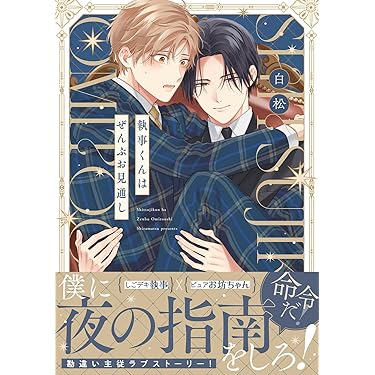 25 BL本まとめ売り　ボーイズラブコミックス　BOYS LOVE COMICS 16 BL本まとめ売り ボーイズラブコミックス BOYS LOVE COMICS - メルカリ