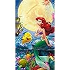 ムーンライト・オーシャン ディズニー - ムーンライト・オーシャン QHD(540×960)壁紙 60189