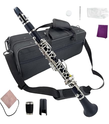 Amazon | PLAYTECH (プレイテック) エスクラリネット 樹脂製管体