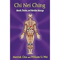 Chi Nei Tsang: Chi Massage for the Vital Organs : Chia, Mantak