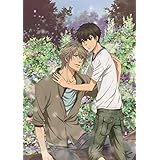 SUPER LOVERS 2第2巻限定版 [Blu-ray]