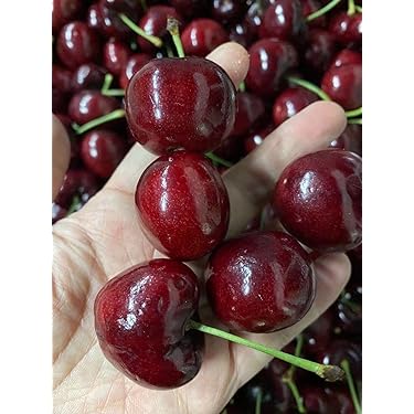 Amazon.co.jp 売れ筋ランキング: さくらんぼ の中で最も人気のある商品です