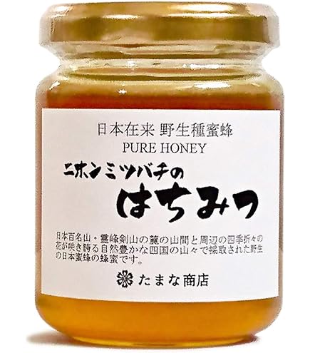 日本蜜蜂　百花蜜　生はちみつ　500g×2本　5月分残りわずか 日本蜜蜂 百花蜜 500g 2本 生はちみつ 天然