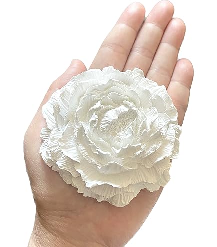 Amazon.co.jp: ＜空の香 爽＞ソラフラワーアロマディフューザー アロマ