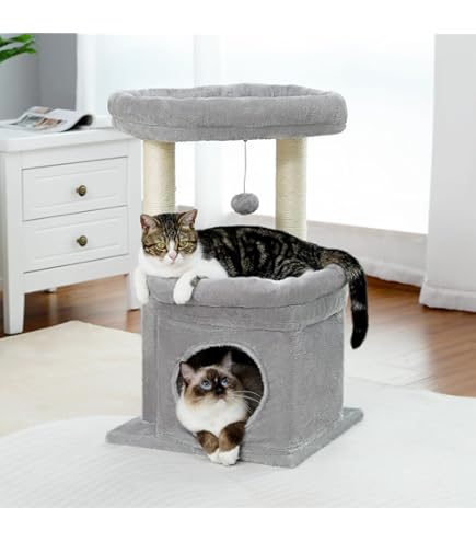 Amazon | ジェックス cat it ヴェスパー キャットタワー V-ボックス 