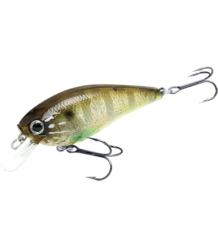 Amazon.co.jp: ラッキークラフト(LUCKY CRAFT)FAT CB BDS6 ~Big Daddy