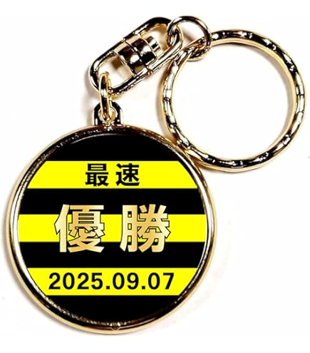 Amazon.co.jp: 阪神タイガース シークレット 似顔絵アクリル