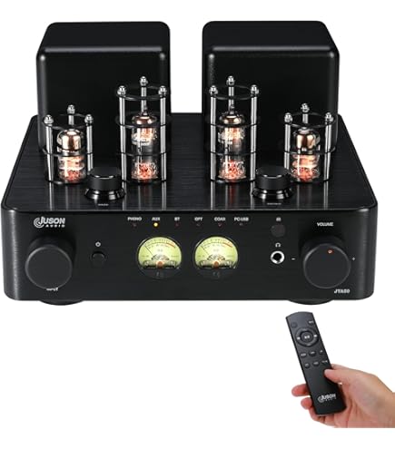 Amazon.co.jp: 本格的な音を楽しめる☆真空管アンプWien/AV-2030