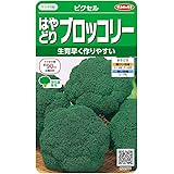 サカタのタネ 実咲野菜2501 はやどりブロッコリー ピクセル 00922501