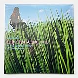 貴重 完全生産限定盤レコード2枚組〔 Lily Chou-Chou - 呼吸 〕小林武史 Salyu/リリイシュシュのすべて 岩井俊二