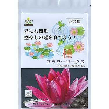 Amazon.co.jp ほしい物ランキング: 屋外用水生植物 で、ほしい物リスト