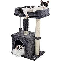 アネモネ　小鳥　小鳥猫　2点セット　Welcome Amazon | Hapineko（ハピネコ） キャットタワー ミニ 猫タワー