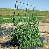 daim 組み立てかんたん棚支柱セット グリーン 高さ 140cm（設置時） 長さ 180cm 間口 90cm つぎ足し 継ぎ足し式 キュウリ 支柱 ゴーヤ きゅうりネット 合掌作り つる性植物 きゅうり棚 野菜棚 空中栽培 園芸 ガーデニング 用品