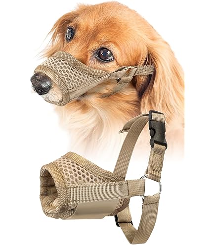 りんごさん専用ドライフード ゴールデン・ラブラドール用 楽天市場】【犬用ドッグフード・ドライ】Kennels' Favourite