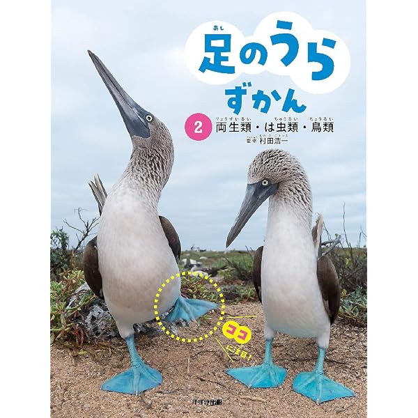 足のうらずかん 1 ほ乳類 | 村田浩一 |本 | 通販 | Amazon