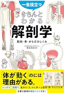 ゆるっとポップな解剖生理学 からだずかん | 角野 ふち, 嵯峨 堅, 能間