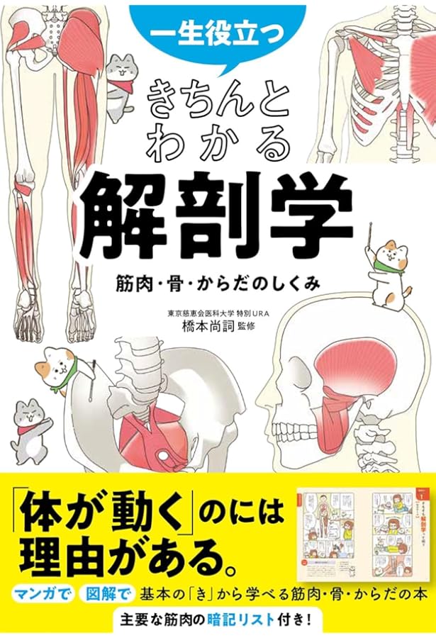 のほほん解剖生理学 | 玉先生, 大和田 潔 |本 | 通販 | Amazon