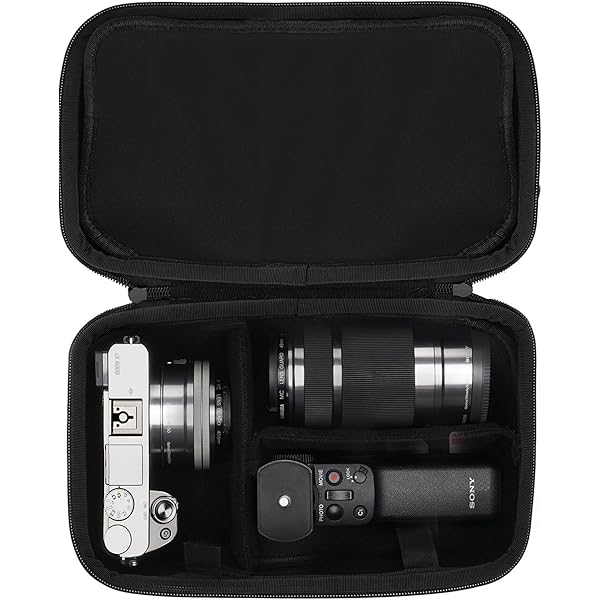 Amazon.co.jp: ANGVI 収納バッグ SONY（ソニー ）対応ソニー/SONY