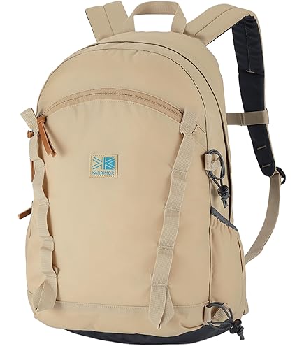 Amazon.co.jp: フォルクル（VOLKL） レースバックパック チーム ラージ