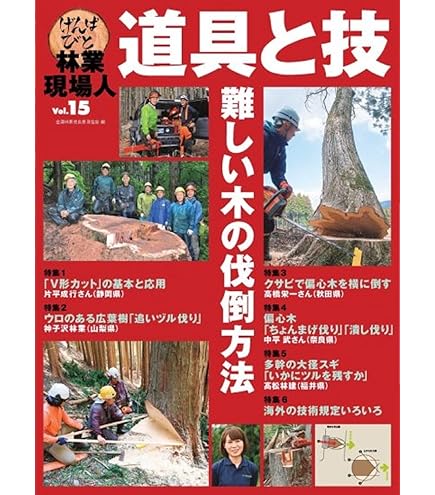 Amazon.co.jp: DMM ツールバッグ ブラック 6L BI21BLK-6 : DIY・工具