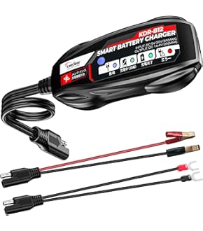 専用出品❺ Amazon.co.jp: デイトナ(Daytona) ヒートプロテクションシート