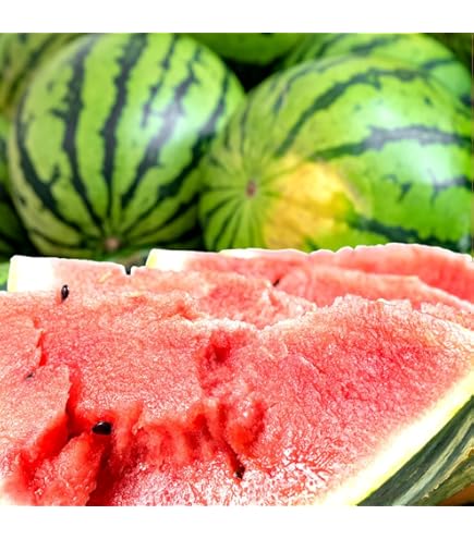 Amazon.co.jp: 【順次発送】でんすけすいか 6L (約11kg以上) 秀品 共撰