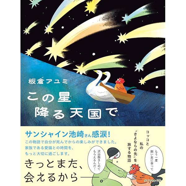 BIRDER（バーダー）2024年8月号 ブンチョウ | BIRDER編集部 |本 | 通販