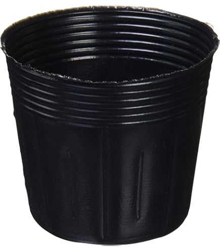 Amazon | 第一ビニール ポリポット [黒](20個入りパック)12.0cm | 鉢