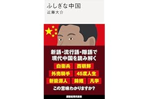 ふしぎな中国 (講談社現代新書)