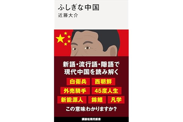 ふしぎな中国 (講談社現代新書)