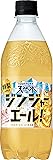 サントリー 天然水 特製ジンジャーエール 炭酸飲料 500ml×24本