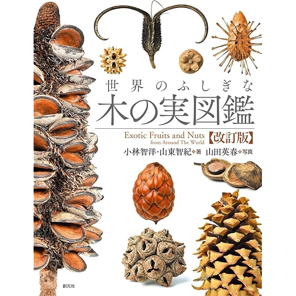 世界のふしぎな木の実図鑑 | 小林 智洋, 山東 智紀, 山田 英春 |本