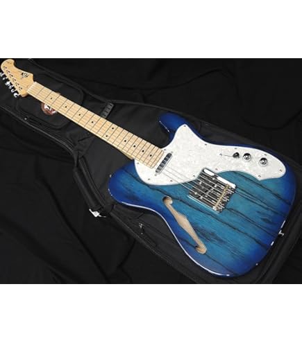 Amazon | FUJIGEN BIL2-M-HS/01 BK エレキギター フジゲン | エレキ