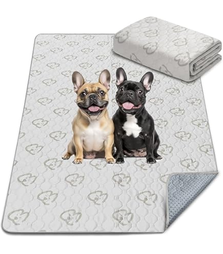 Amazon | FXW AuraSpace アクリル屋内犬用ベビーサークル 子犬と小型犬
