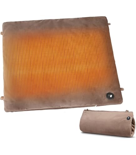 Amazon | パナソニック ねころんぼ(ホットマット) ピンク DC-SN10F-P