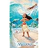 モアナと伝説の海 ディズニー - モアナと伝説の海 FVGA(480×800)壁紙 62916