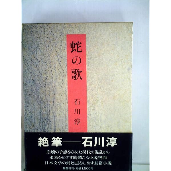 Amazon.co.jp: 天門 : 石川 淳: 本