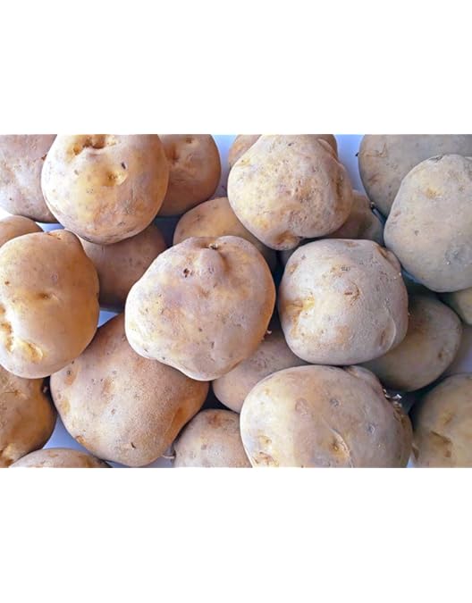 Amazon.co.jp: 訳あり じゃがいも じゃがいも メークイン ポテト