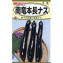 やまなす品 楽天市場】山形県産 ハウス 小茄子 約2kg ( 3S ～ Sサイズ