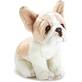 perfect petzzz french bulldog