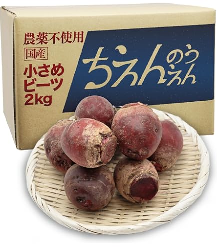 Amazon.co.jp: 青森県産 土付き ごぼう 2～3L 8kg : 食品・飲料・お酒